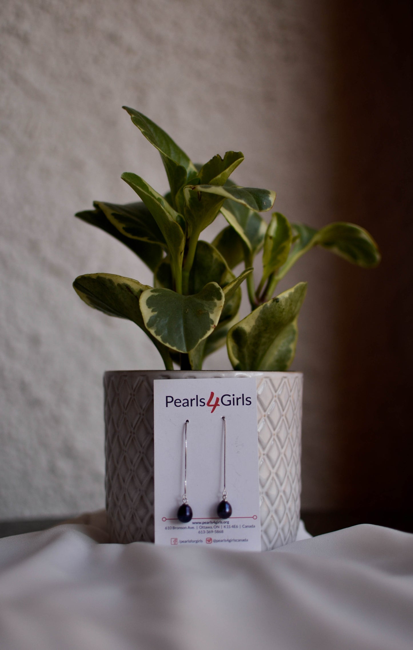 Dream Earrings